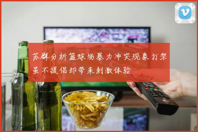 苏群分析篮球场暴力冲突现象打架虽不提倡却带来刺激体验