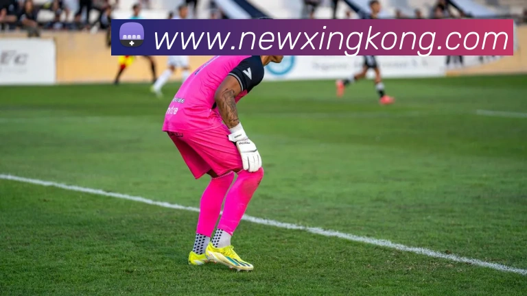 星空体育APP 封面图